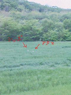 c0117058_22254864.jpg