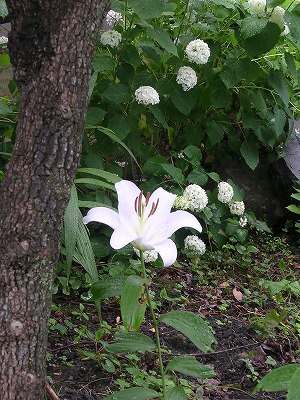 b0120159_16505046.jpg