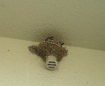 c0197961_10133617.jpg