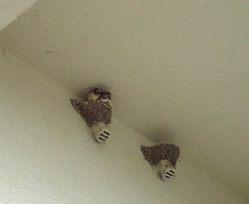 c0197961_10133622.jpg