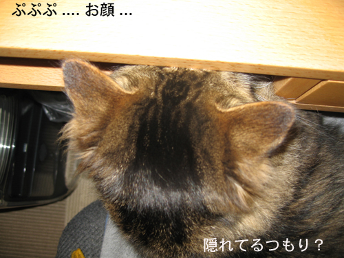 e0057361_17105885.jpg