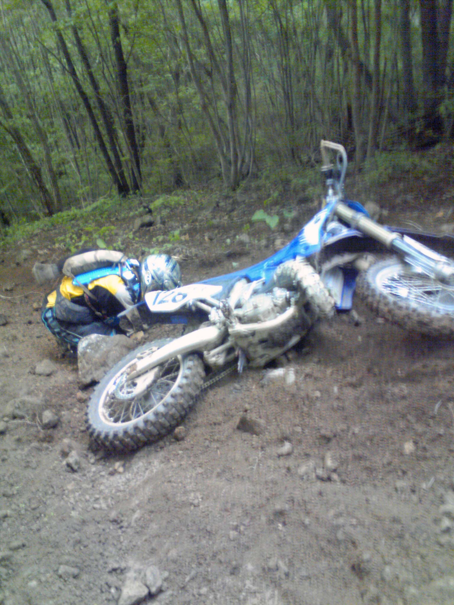 c0198263_20583695.jpg