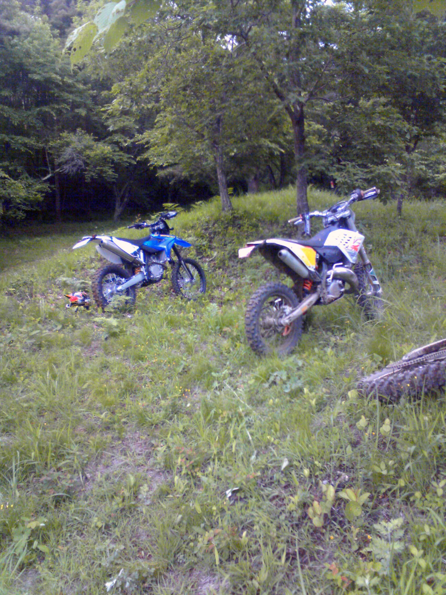c0198263_2058724.jpg