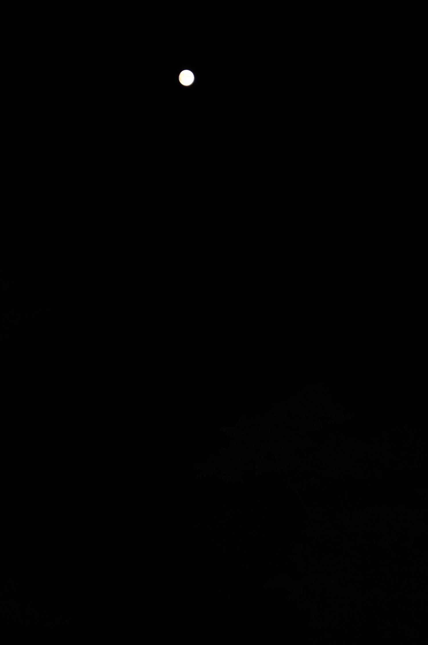 c0198263_20592821.jpg