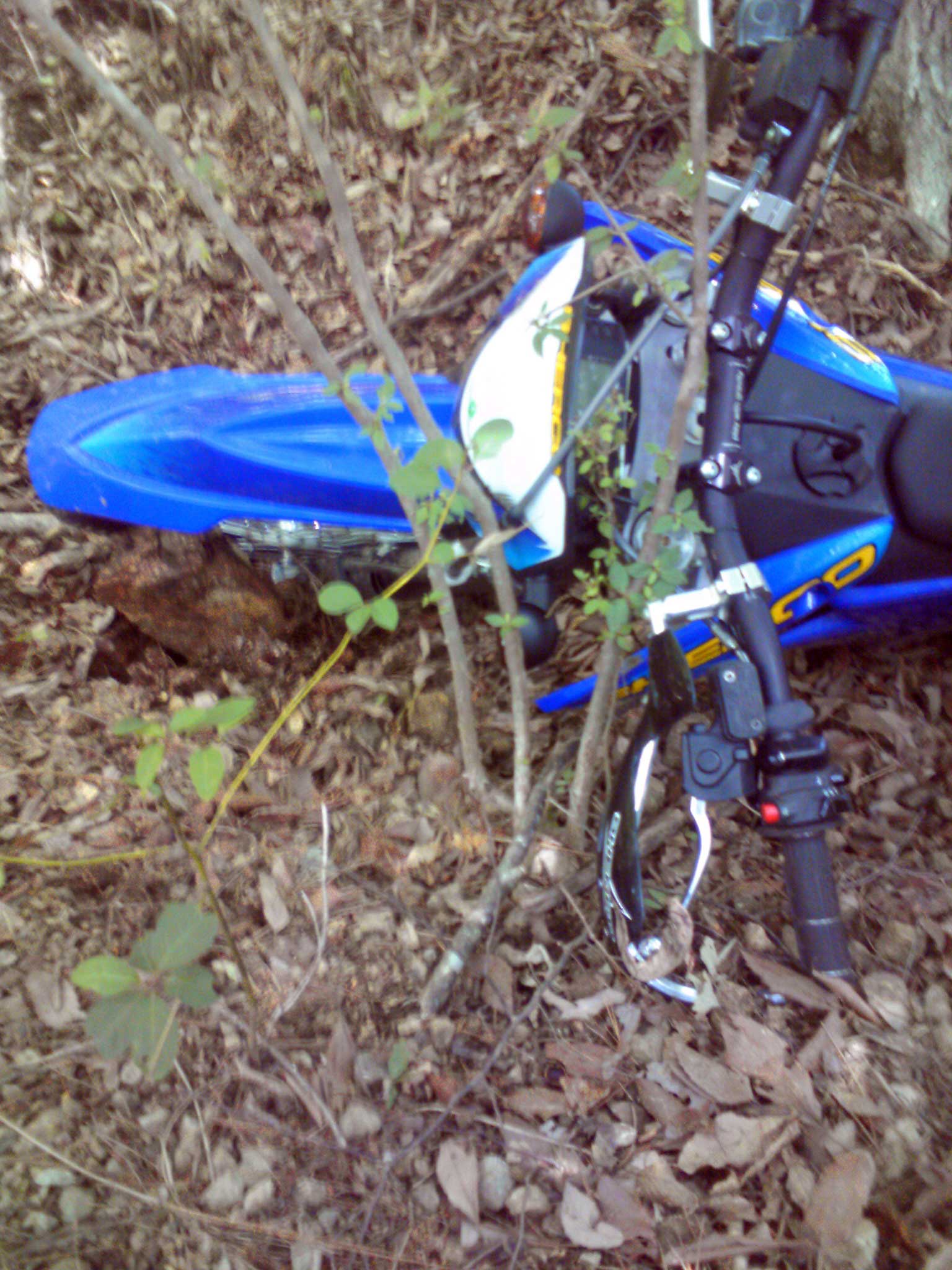 c0198263_2123039.jpg