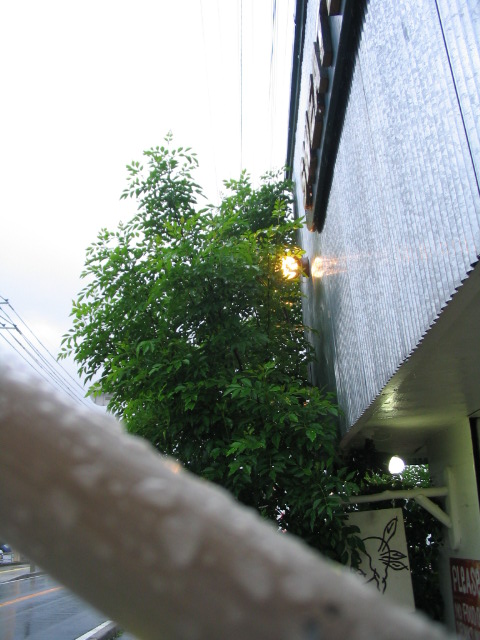 b0153265_16224353.jpg