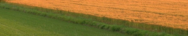 c0166668_827662.jpg