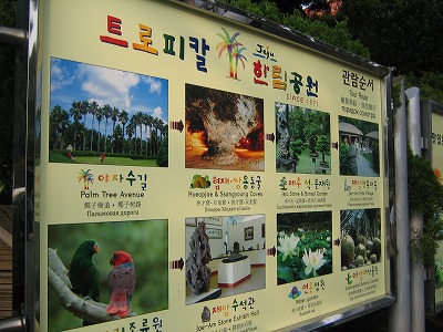 d0082970_0562444.jpg