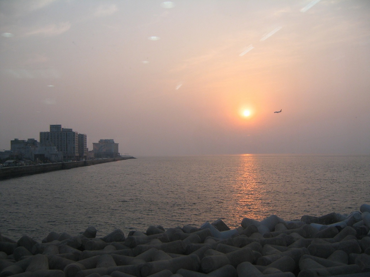 d0082970_105771.jpg