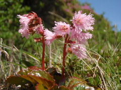 f0159270_1110534.jpg