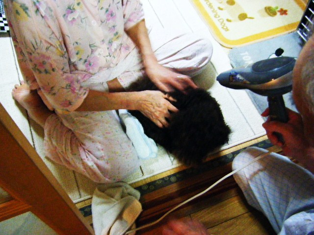 f0207970_106569.jpg