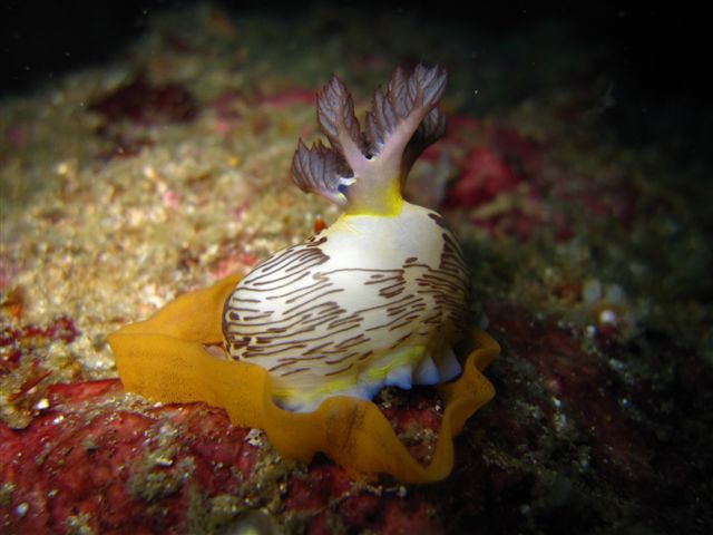 c0110871_233219.jpg