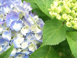 e0100275_17493419.jpg