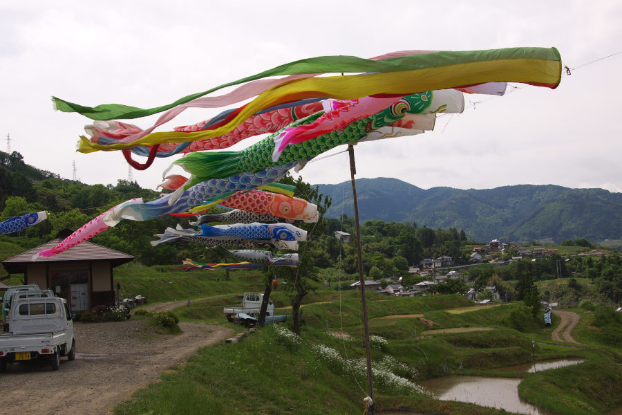 b0083779_2215252.jpg