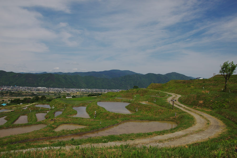 b0083779_22164499.jpg
