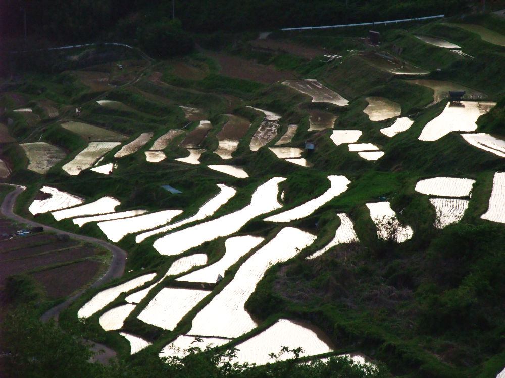 b0083779_227247.jpg