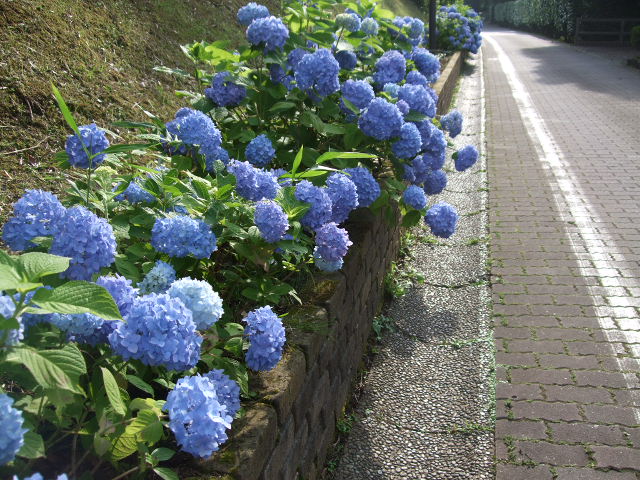 e0123680_22145817.jpg