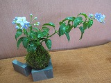 b0183781_19431226.jpg