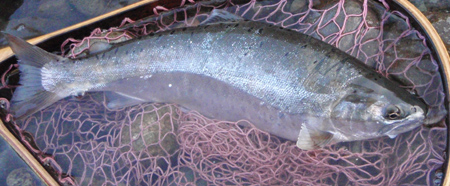 c0146788_14335810.jpg