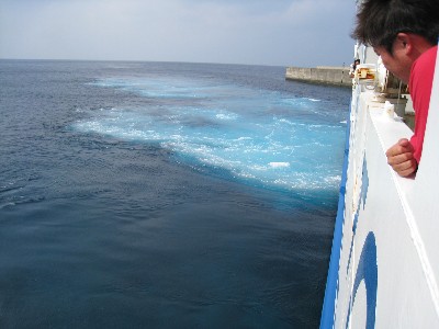 e0052088_15485235.jpg