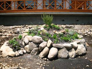 c0002089_6284920.jpg
