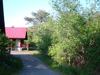 c0002089_6371063.jpg