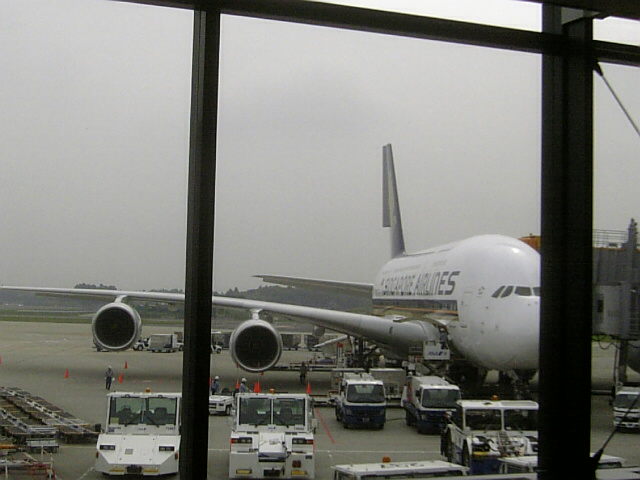 a0097891_824547.jpg