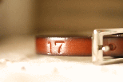 d0100192_014397.gif