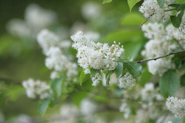 d0133693_19211059.jpg