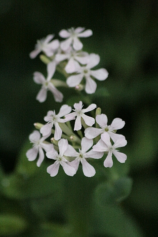 d0133693_19213479.jpg