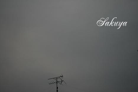 e0122194_2115816.jpg