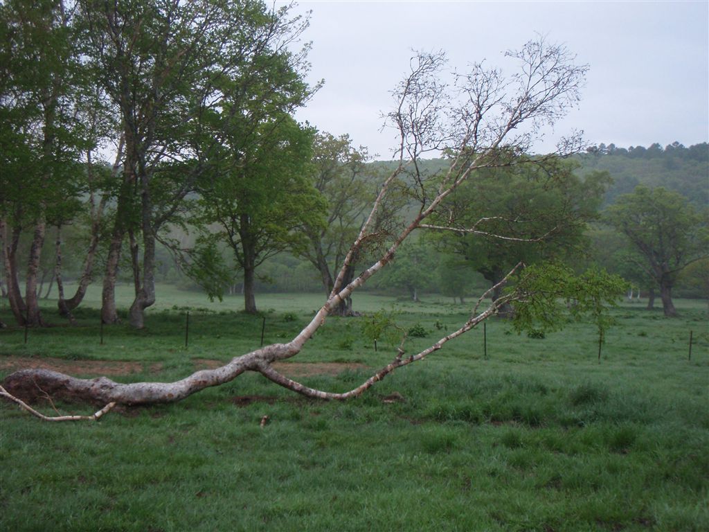 c0177497_2138241.jpg