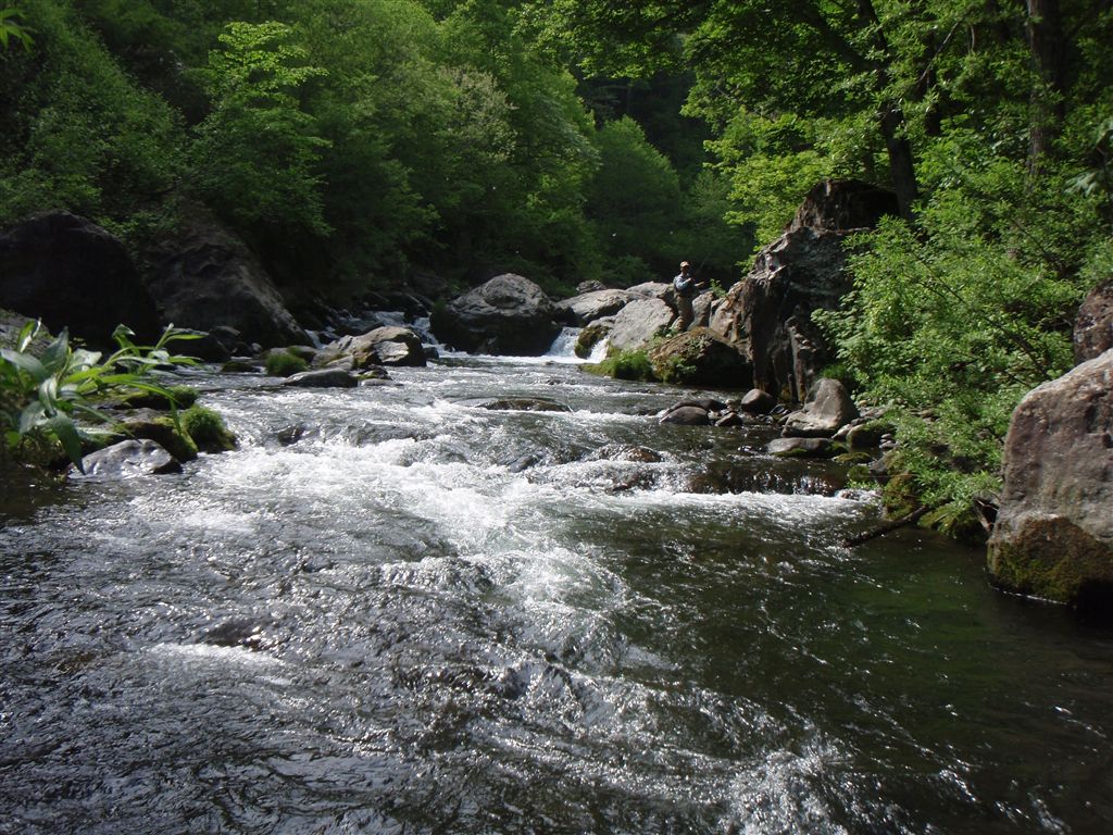 c0177497_21393049.jpg