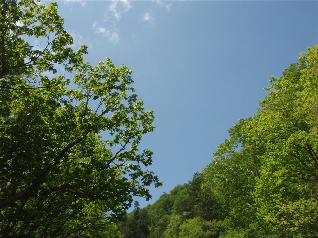 c0177497_21442424.jpg