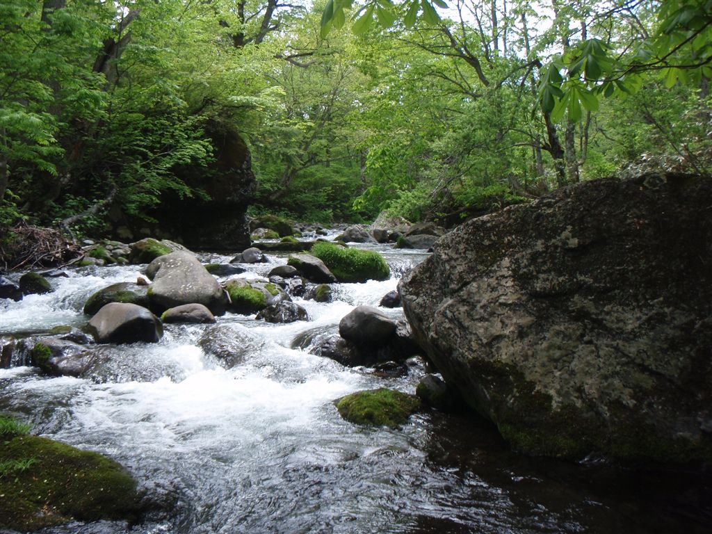 c0177497_21452368.jpg