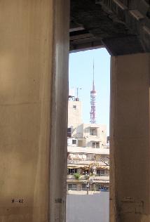 e0077899_8104471.jpg