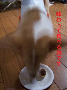 c0126703_175558.jpg