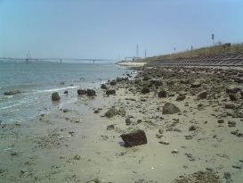 d0047107_2373032.jpg