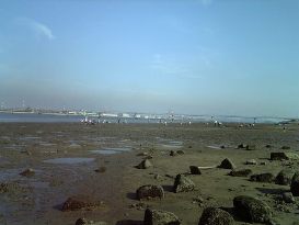 d0047107_2383142.jpg