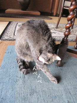 e0156015_1233442.gif