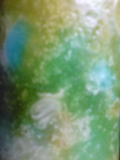 e0132318_1231454.jpg