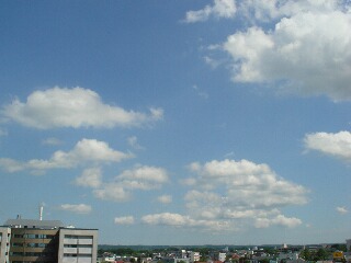 f0181524_11333848.jpg