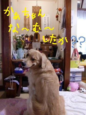 f0176830_20103831.jpg