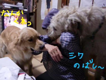 f0176830_20125953.jpg