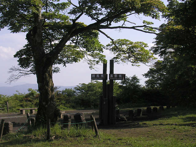 d0046531_17333050.jpg