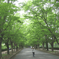 d0033734_14204969.gif