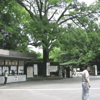 d0033734_14211191.gif