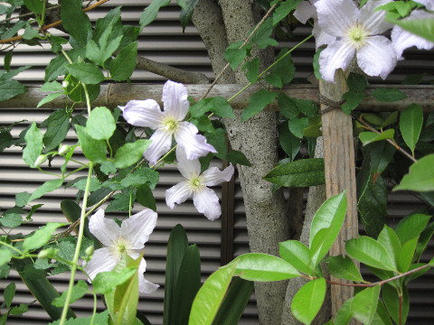 f0068334_1912512.jpg