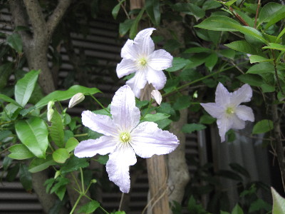 f0068334_1913232.jpg