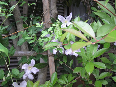 f0068334_1913847.jpg